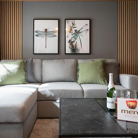 Appartement Spirit - Balkon - Seesicht - Parkplatz - Ac Brienz (Bern)